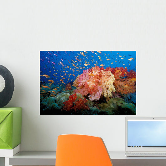 Tropical Coral Reef Fiji Wall Decal Design 1