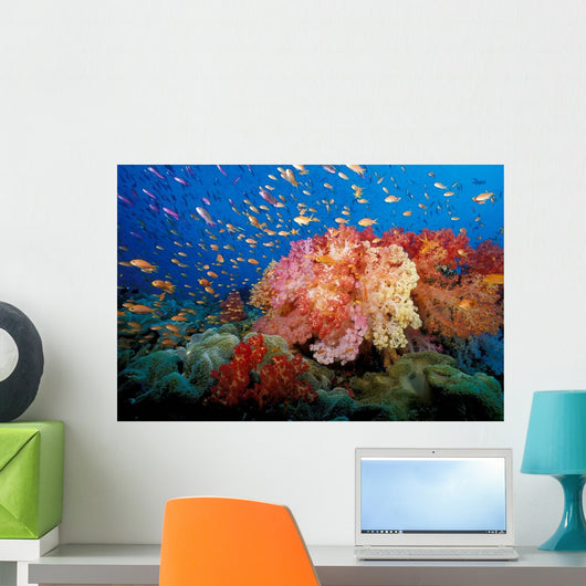 Tropical Coral Reef Fiji Wall Decal Design 1