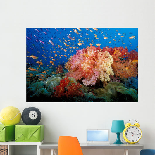 Tropical Coral Reef Fiji Wall Decal Design 1