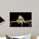 Japanese Spider Crab Macrocheira Wall Decal Design 4