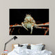 Japanese Spider Crab Macrocheira Wall Decal Design 4