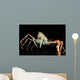 Japanese Spider Crab Macrocheira Wall Decal Design 3