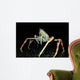 Japanese Spider Crab Macrocheira Wall Decal Design 2