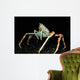 Japanese Spider Crab Macrocheira Wall Decal Design 2