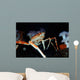 Japanese Spider Crab Macrocheira Wall Decal Design 1
