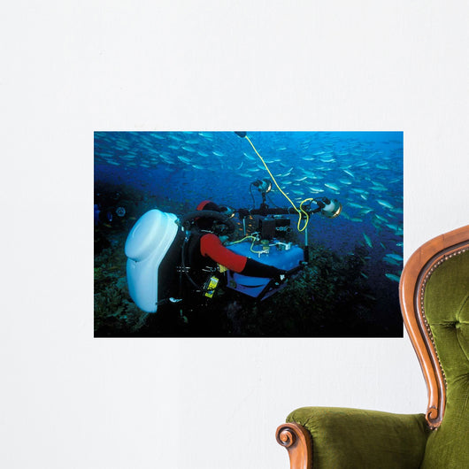 Cameraman Using Latest High-tech Wall Decal