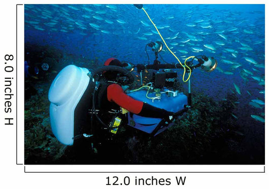Cameraman Using Latest High-tech Wall Decal