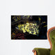 Cabezon Fish California Pacific Wall Decal