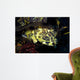 Cabezon Fish California Pacific Wall Decal