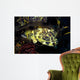 Cabezon Fish California Pacific Wall Decal