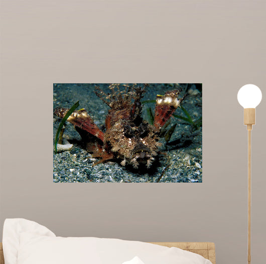 Caledonian Stinger Is Ambush Wall Decal