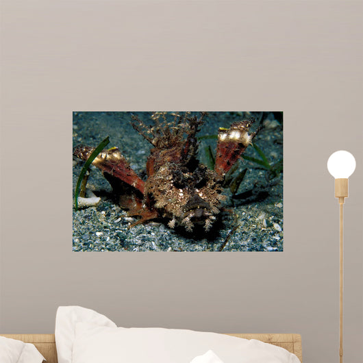 Caledonian Stinger Is Ambush Wall Decal