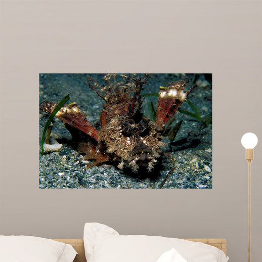 Caledonian Stinger Is Ambush Wall Decal
