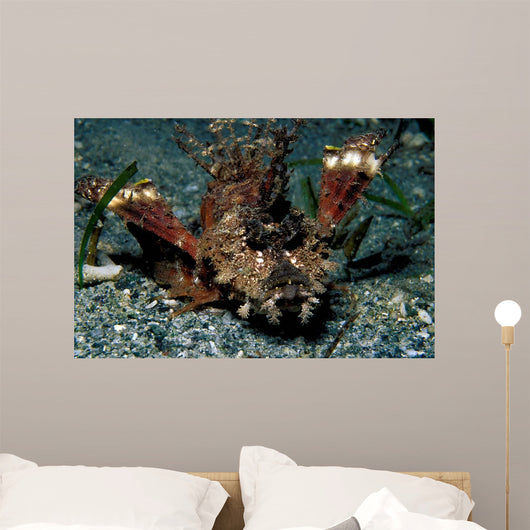 Caledonian Stinger Is Ambush Wall Decal