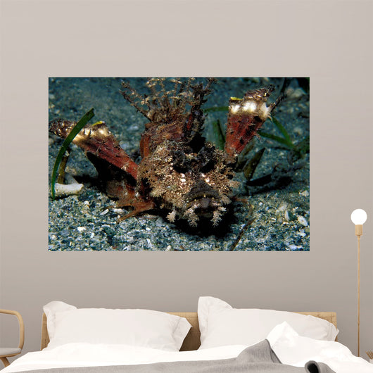 Caledonian Stinger Is Ambush Wall Decal