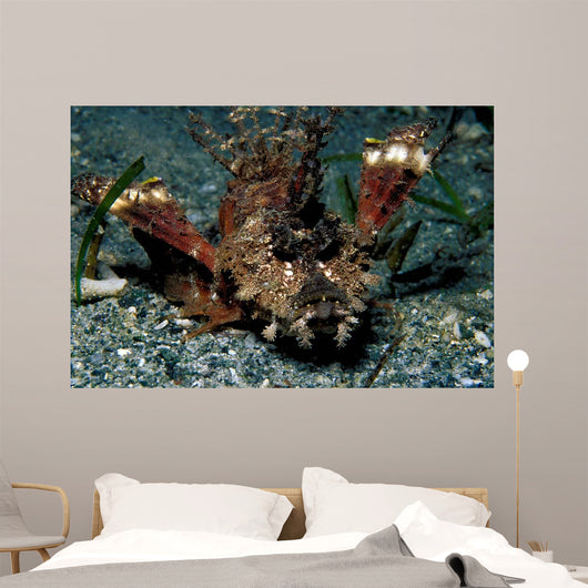 Caledonian Stinger Is Ambush Wall Decal