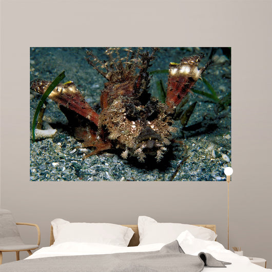 Caledonian Stinger Is Ambush Wall Decal