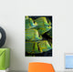 Panamic Porkfish Anisotremus Taeniatus Wall Decal