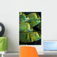 Panamic Porkfish Anisotremus Taeniatus Wall Decal
