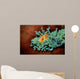 Pink Anemonefish Fiji Pacific Wall Decal