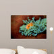 Pink Anemonefish Fiji Pacific Wall Decal