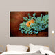 Pink Anemonefish Fiji Pacific Wall Decal