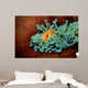 Pink Anemonefish Fiji Pacific Wall Decal