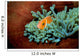 Pink Anemonefish Fiji Pacific Wall Decal
