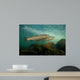 Steelhead Oncorhynchus Mykiss Wall Decal