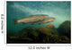 Steelhead Oncorhynchus Mykiss Wall Decal