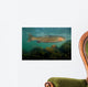 Steelhead Trout Oncorhynchus Mykiss Wall Decal