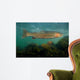 Steelhead Trout Oncorhynchus Mykiss Wall Decal