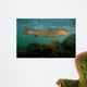 Steelhead Trout Oncorhynchus Mykiss Wall Decal