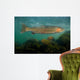 Steelhead Trout Oncorhynchus Mykiss Wall Decal
