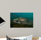 King Salmon Rogue River Wall Decal Design 4