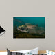 King Salmon Rogue River Wall Decal Design 4