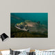King Salmon Rogue River Wall Decal Design 4