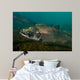 King Salmon Rogue River Wall Decal Design 4