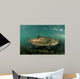 King Salmon Rogue River Wall Decal Design 3
