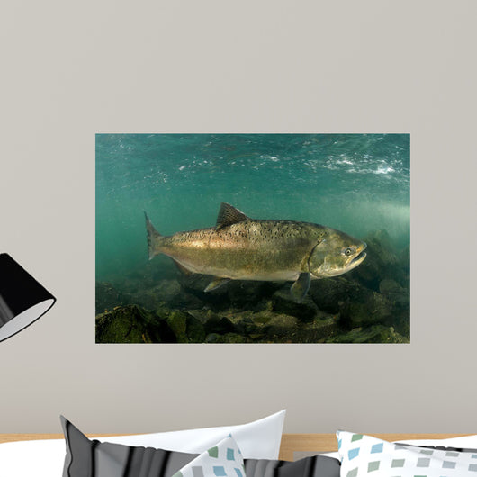 King Salmon Rogue River Wall Decal Design 3