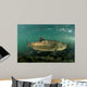 King Salmon Rogue River Wall Decal Design 3
