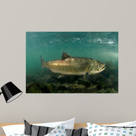 King Salmon Rogue River Wall Decal Design 3