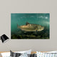 King Salmon Rogue River Wall Decal Design 3