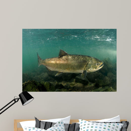 King Salmon Rogue River Wall Decal Design 3