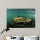 King Salmon Rogue River Wall Decal Design 3