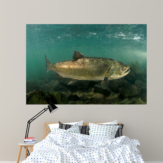 King Salmon Rogue River Wall Decal Design 3