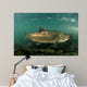 King Salmon Rogue River Wall Decal Design 3