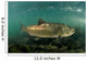 King Salmon Rogue River Wall Decal Design 3