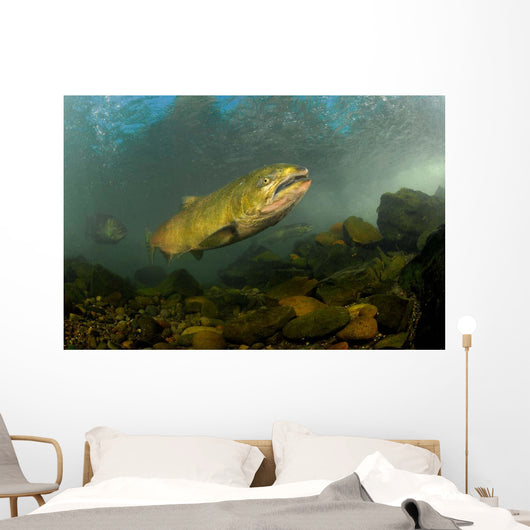 King Salmon Rogue River Wall Decal Design 2
