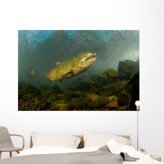 King Salmon Rogue River Wall Decal Design 2